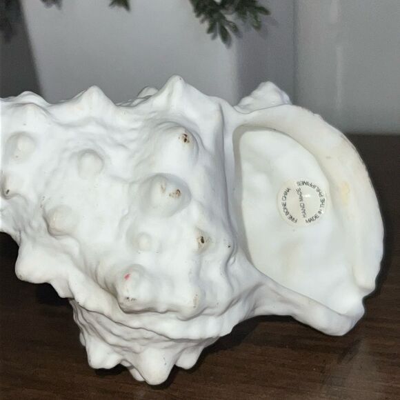 Small Bone China Seashell 4” - Picture 3 of 6